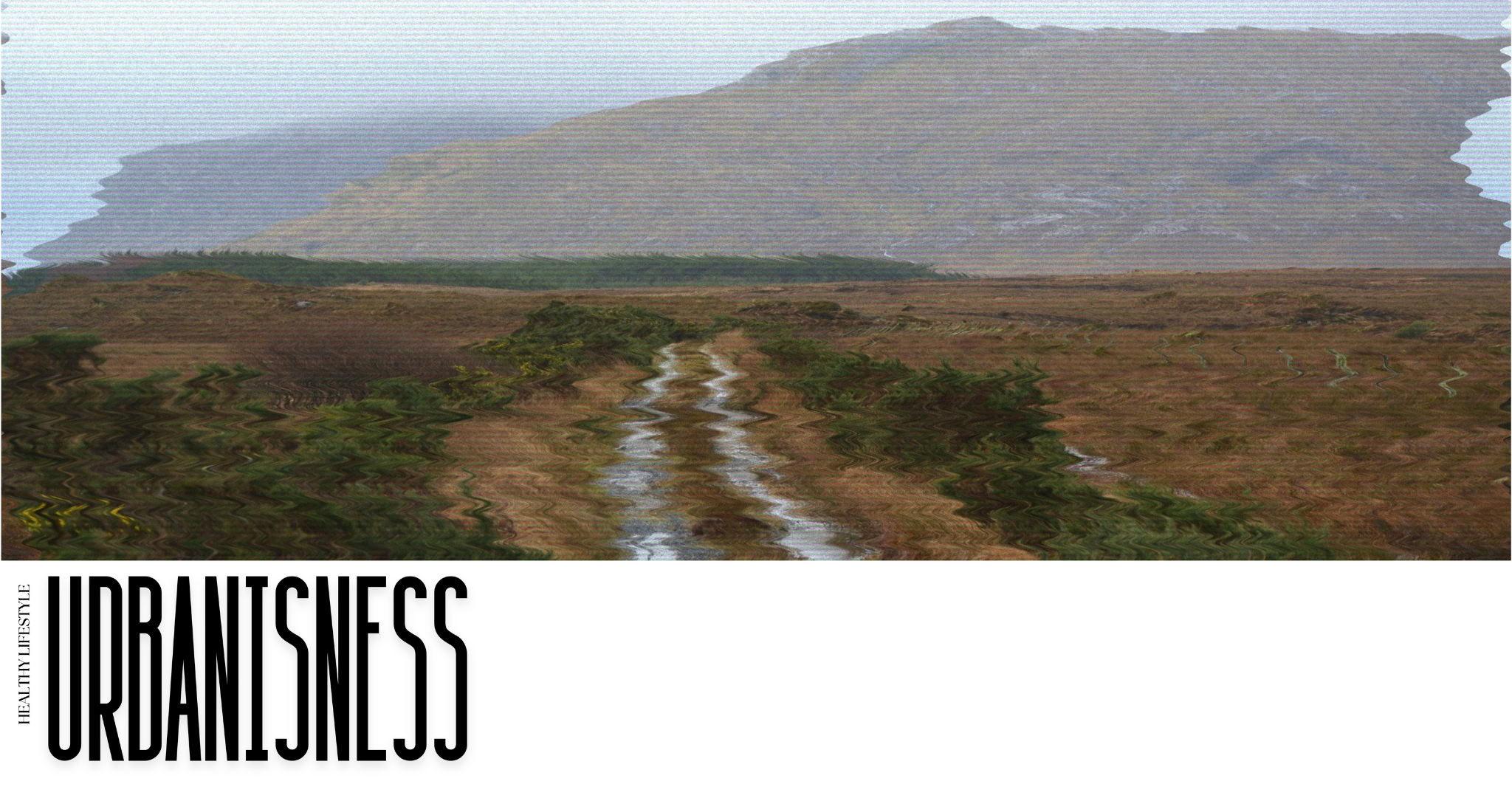 urbanisness.com